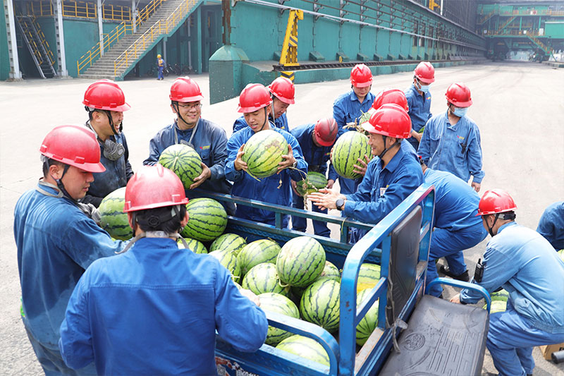 15975398816440440Ixc.jpg 15.jpg