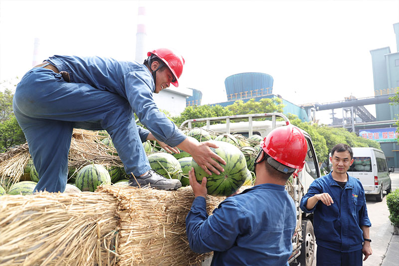 1597539913355454yXNz.jpg 16.jpg